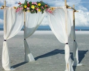 Tropic Ice Beach Wedding