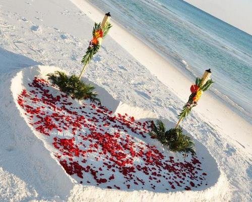 Rose Heart Package Sarasota Wedding Ideas